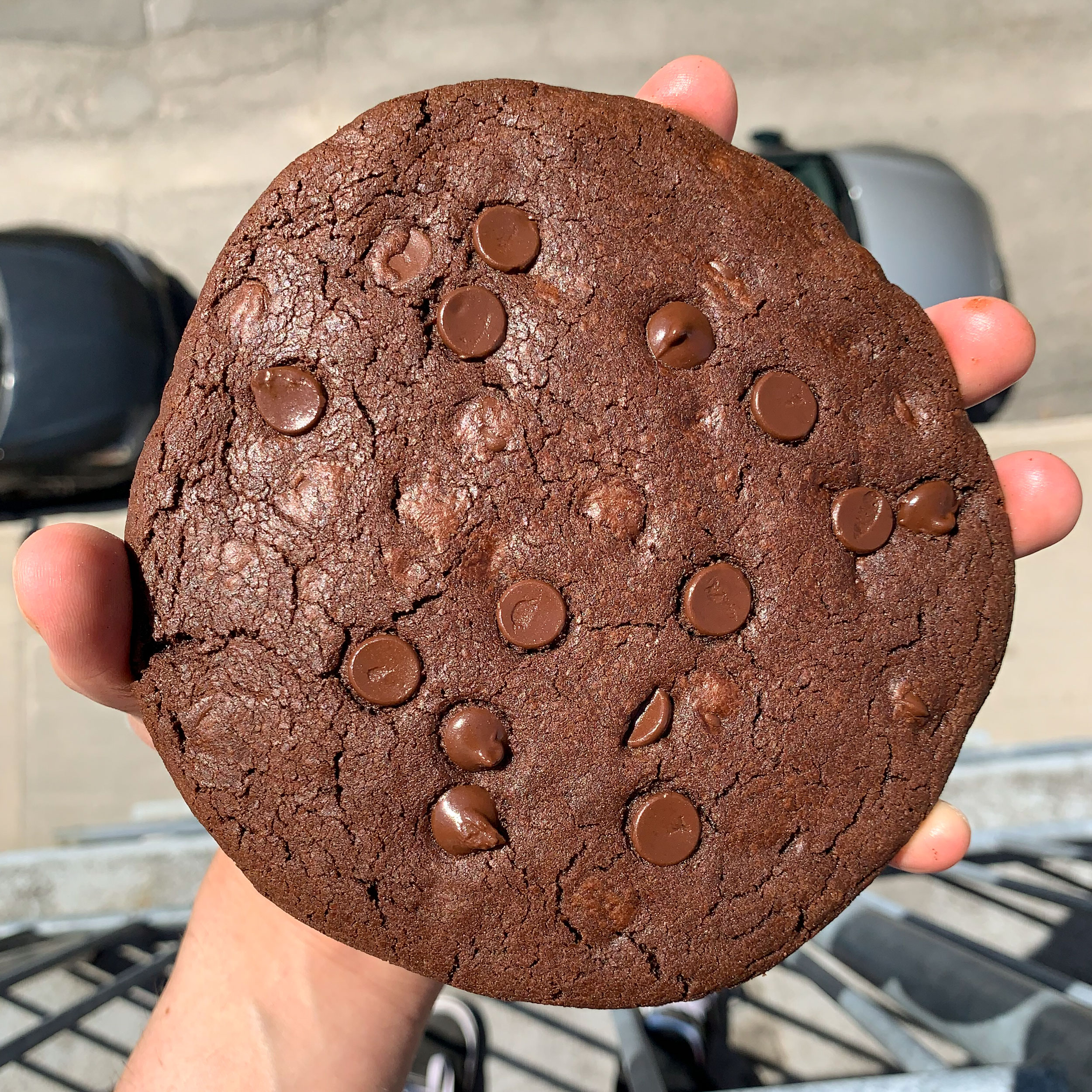 Biscuit géant pépites de chocolat