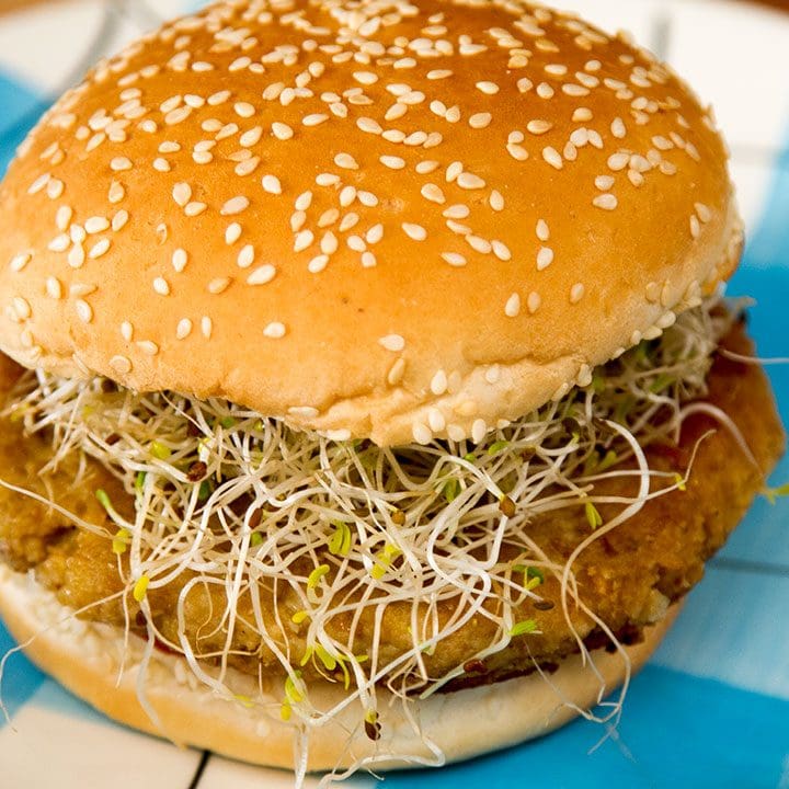 Burger aux lentilles